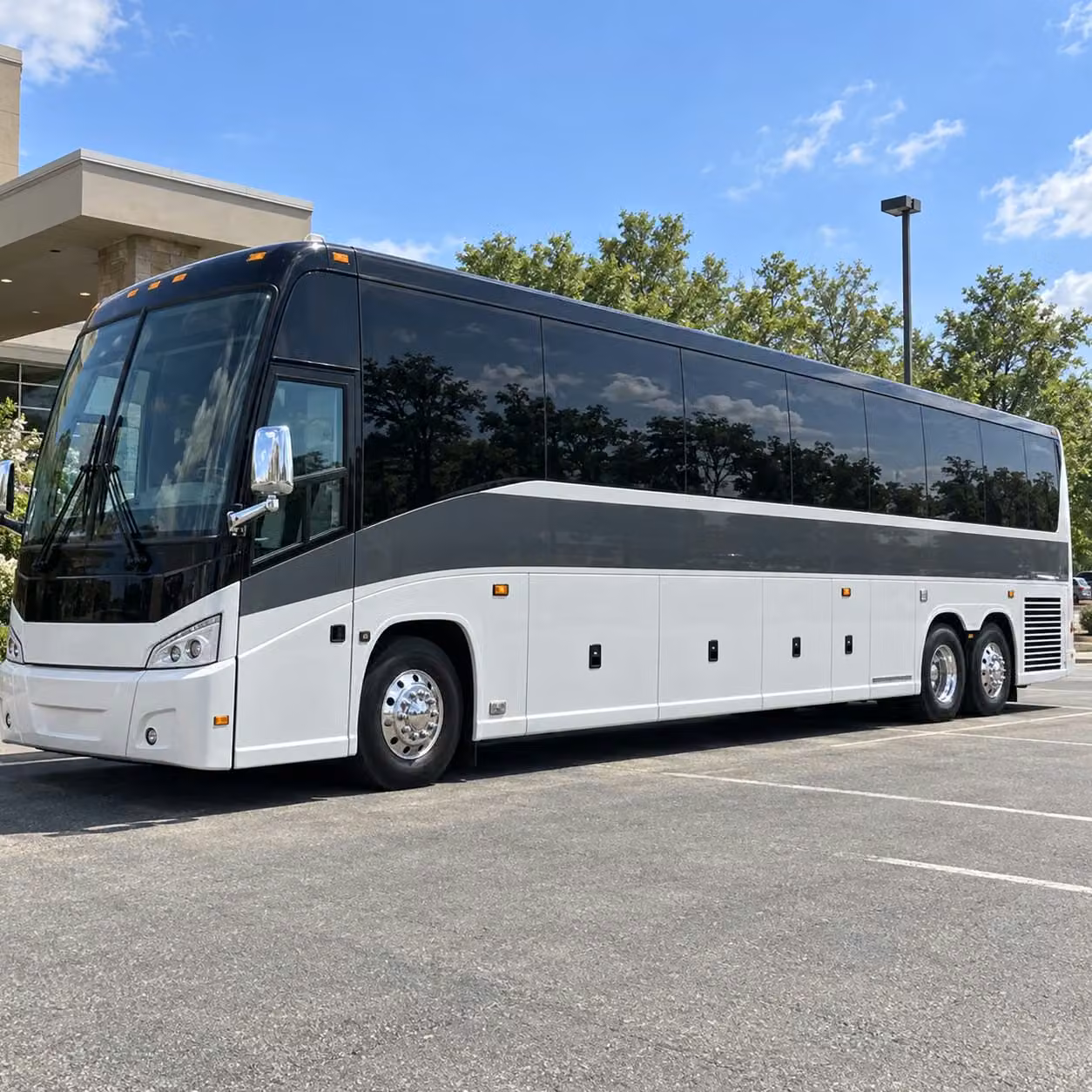 pueblo zoo field trip bus rentals get your class there and back without the hassle